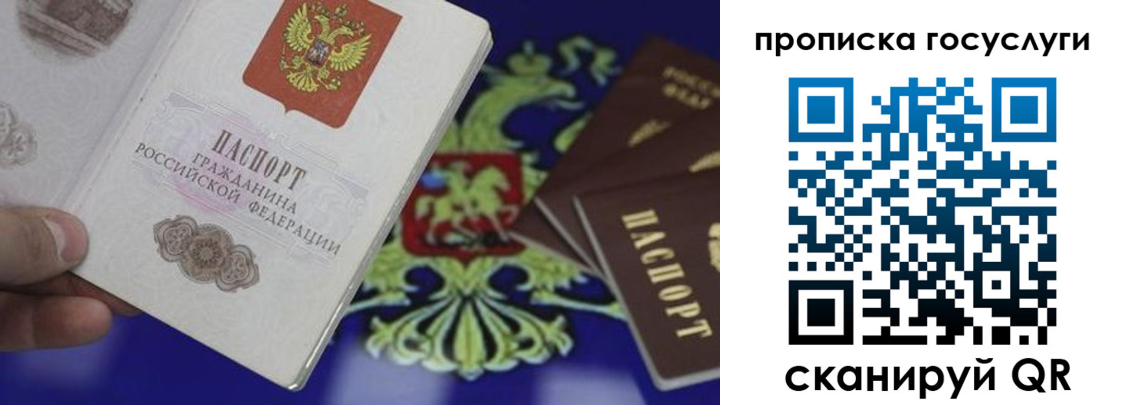 прописка для школы в Дагестанских Огнях